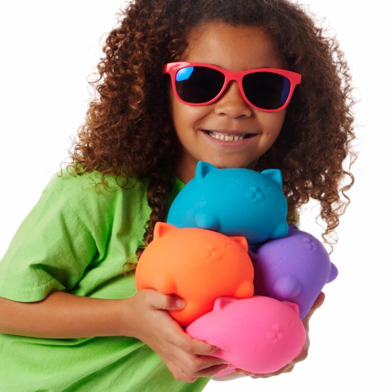 Super NeeDoh Cool Cats - US 4561