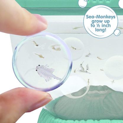 Sea-Monkeys Ocean Volcano - US 5421