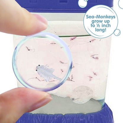 Sea-Monkeys Magiquarium - US 7853
